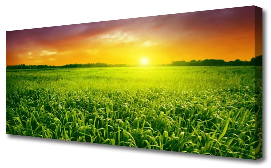 Tablou pe panza canvas Cereale Câmp Sunrise Floral Verde Roșu