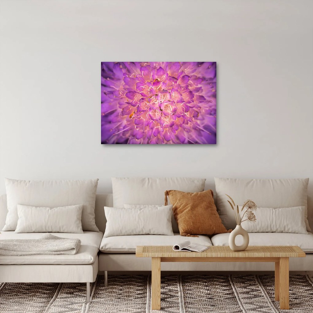 Tablou detailat cu floare (70x50 cm)