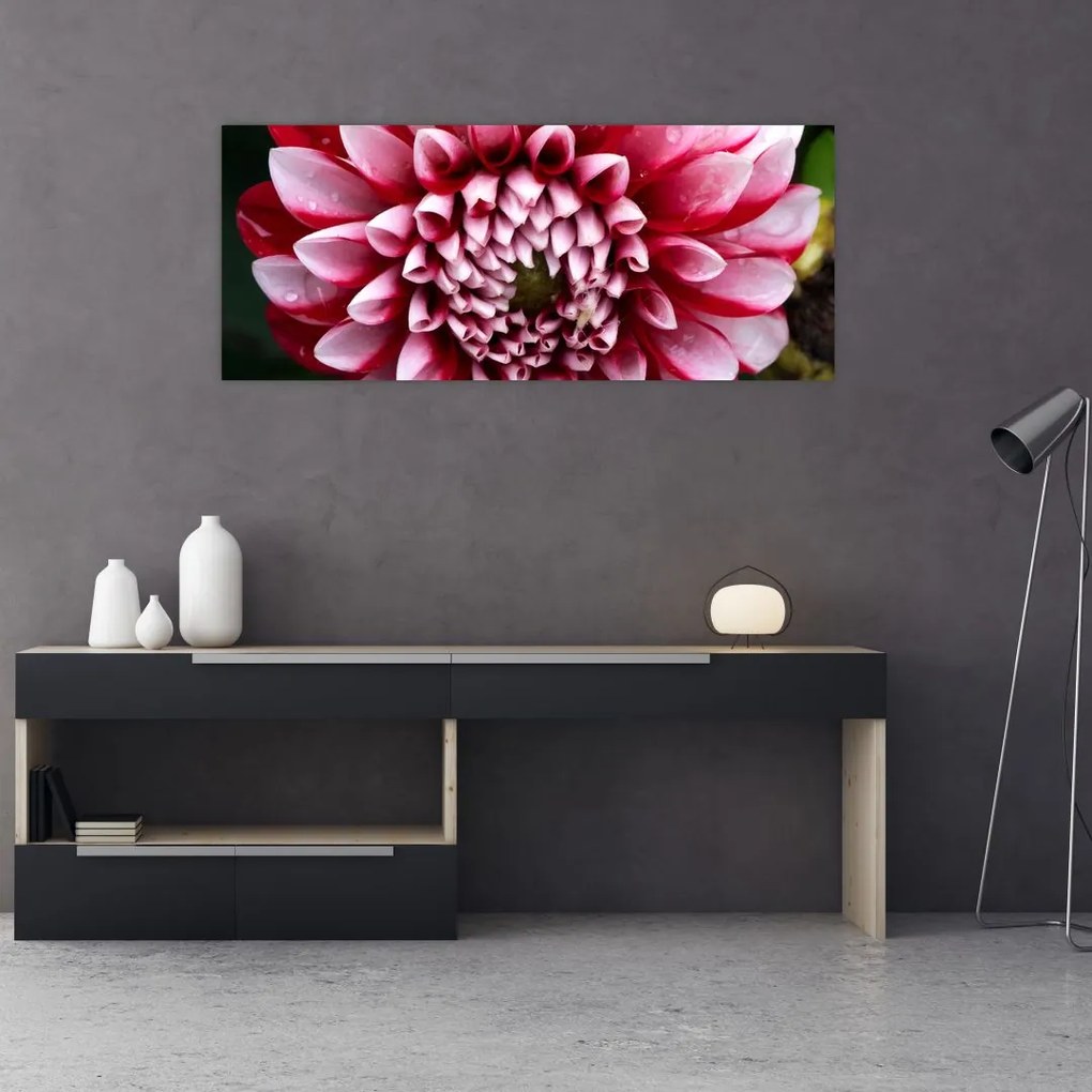 Tablou cu dalie roz (120x50 cm)