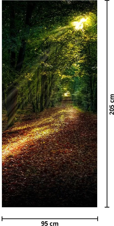 Fototapet pentru ușă - Drum forestier (95x205cm)
