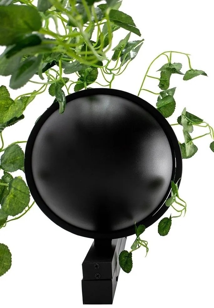Aplica de perete design deosebit PLANT