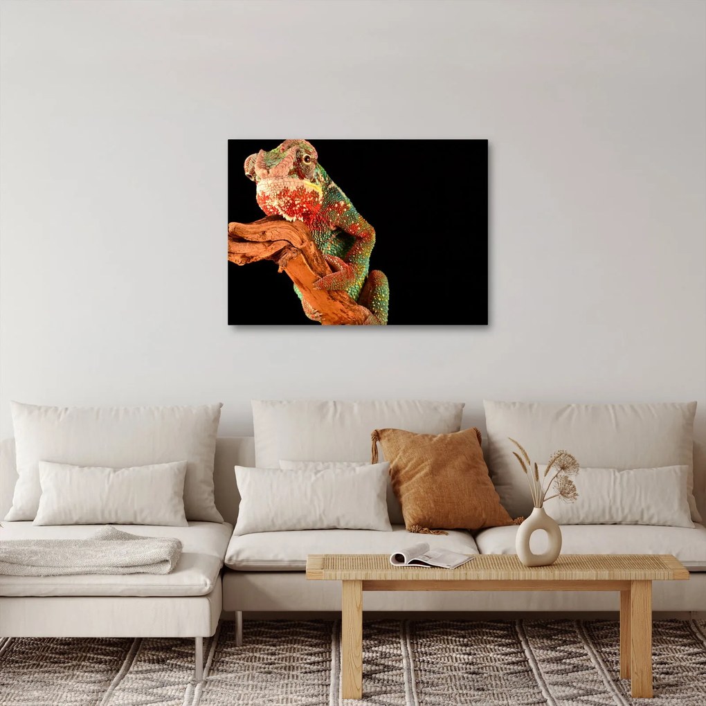 Tablou cu cameleon pe creangă (70x50 cm)