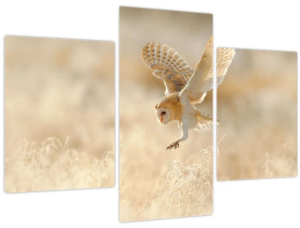 Tablou - Bufniță (90x60 cm)