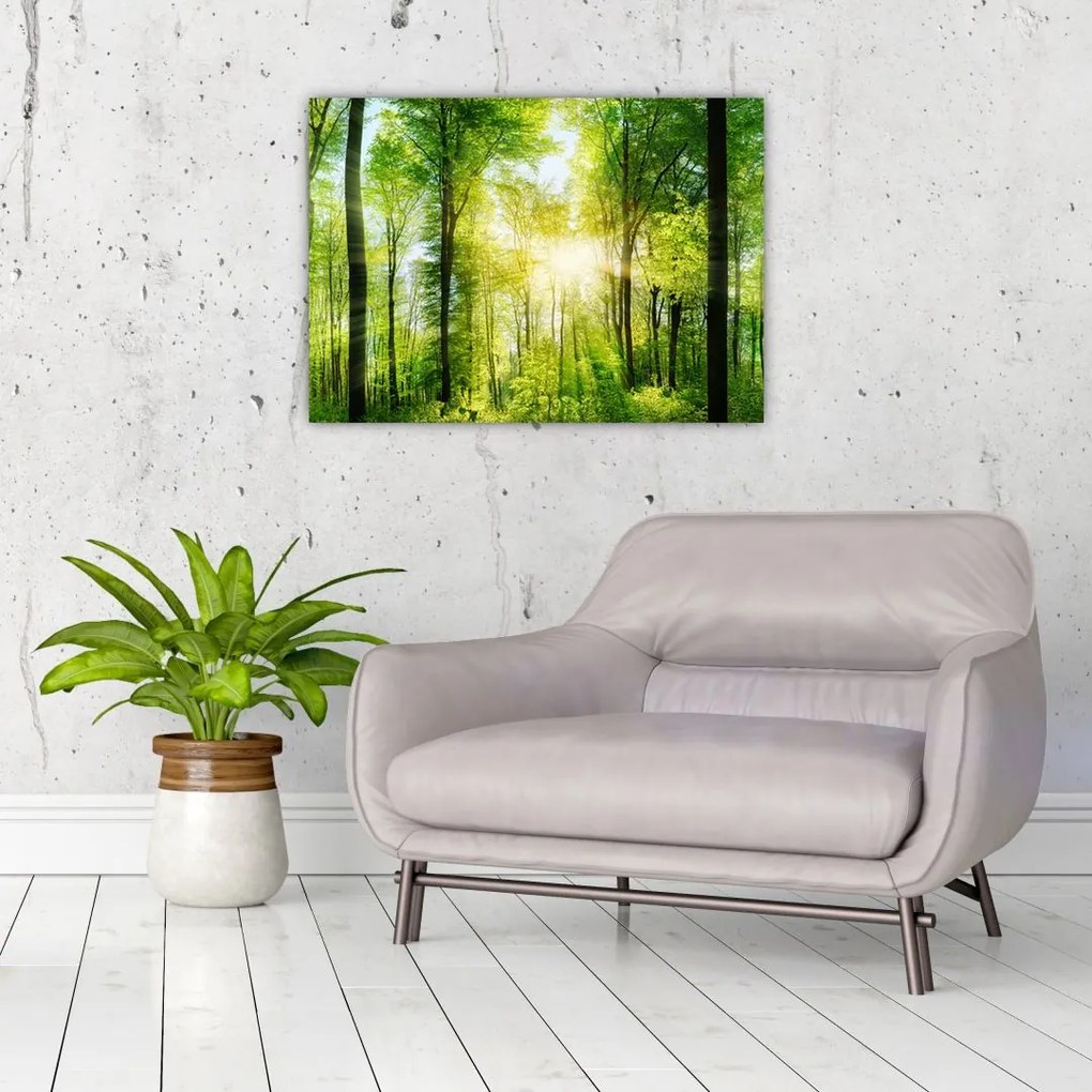 Tablou pe sticlă - Răsărit în pădure (70x50 cm)