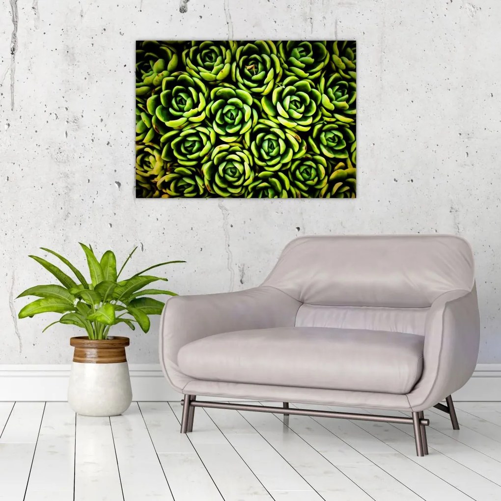 Tablou cu flori de piatră (70x50 cm)