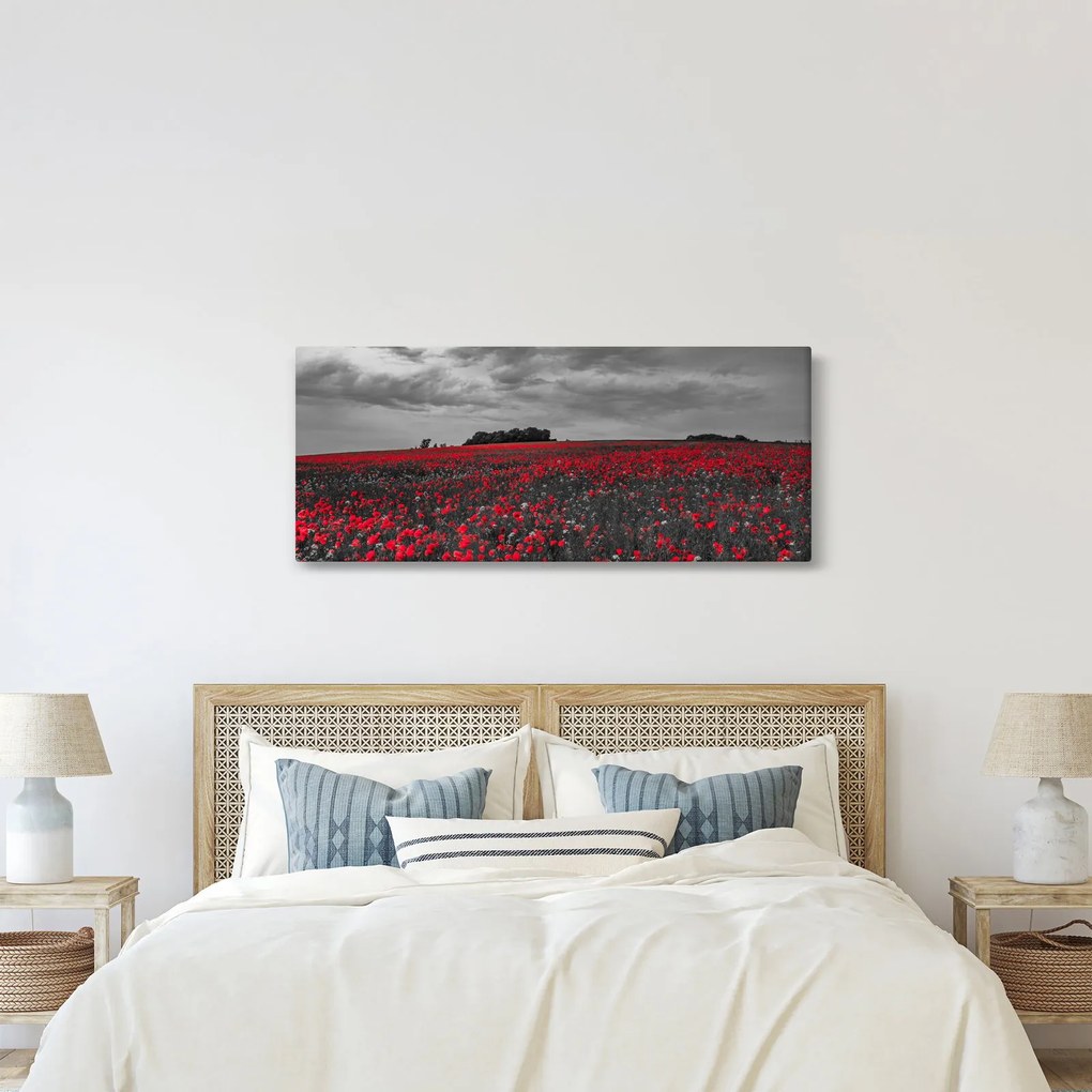 Tablou cu maci (120x50 cm)