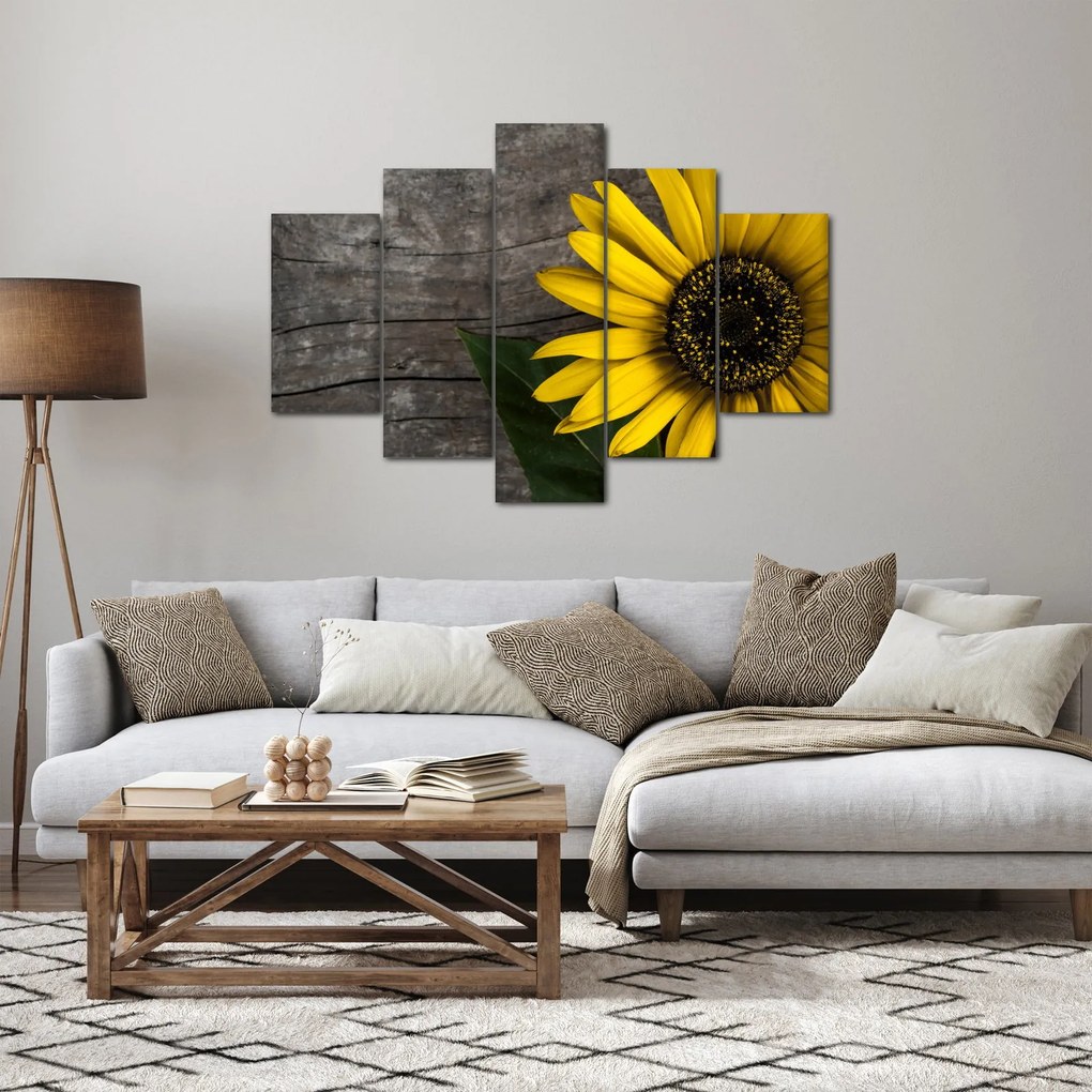 Tablou - Floare de floarea soarelui (150x105 cm)