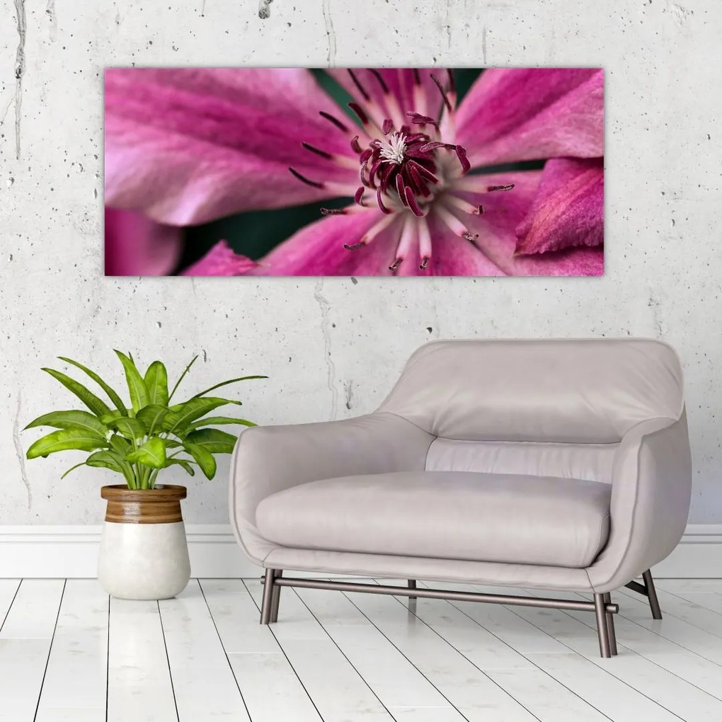 Tablou cu floarea roz de clematis (120x50 cm)