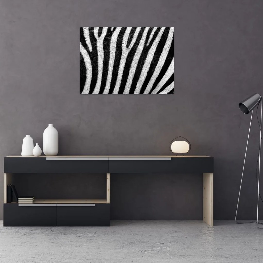 Tablou cu piele de zebră (70x50 cm)