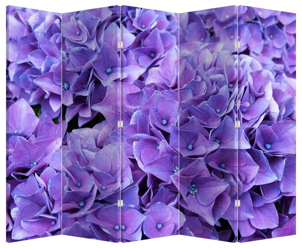 Paravan - Flori violete (210x170 cm)
