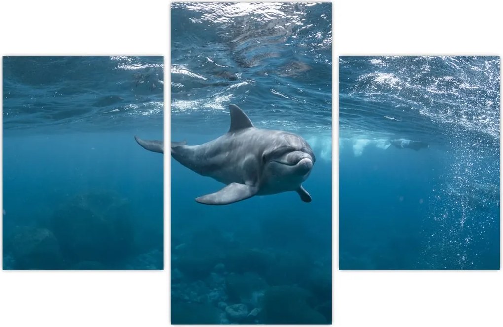 Tablou - Delfin sub apă (90x60 cm)