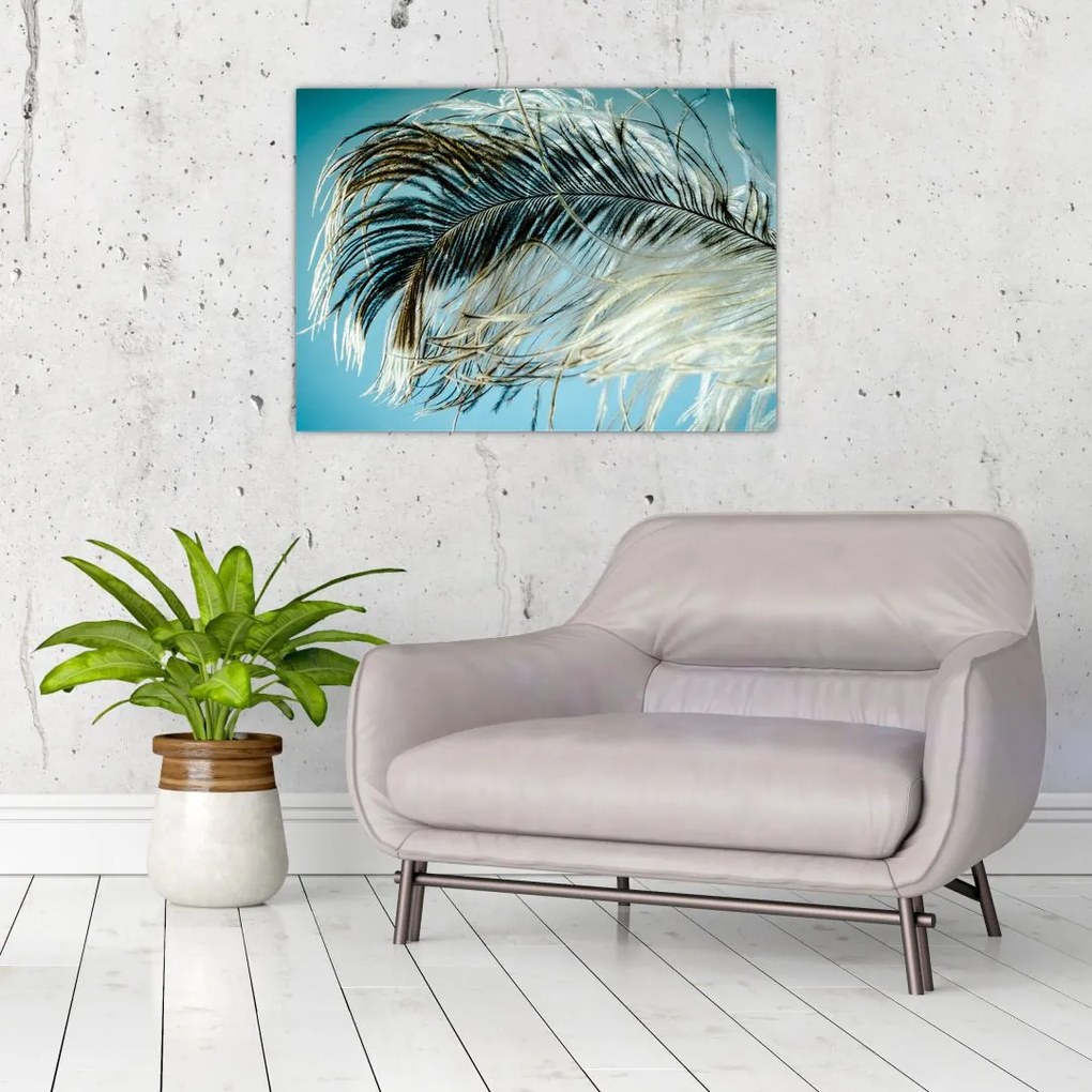 Tablou cu pană (70x50 cm)