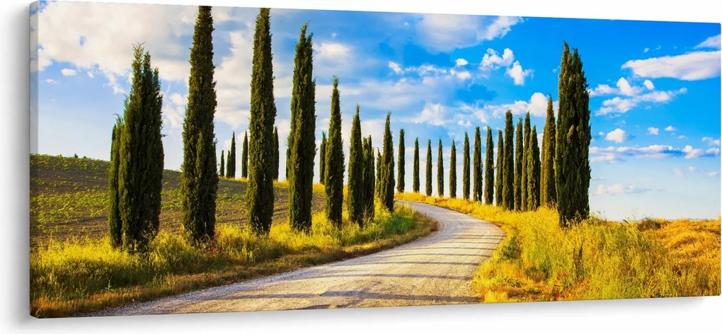 Tablou - Peisaj (120x50 cm)