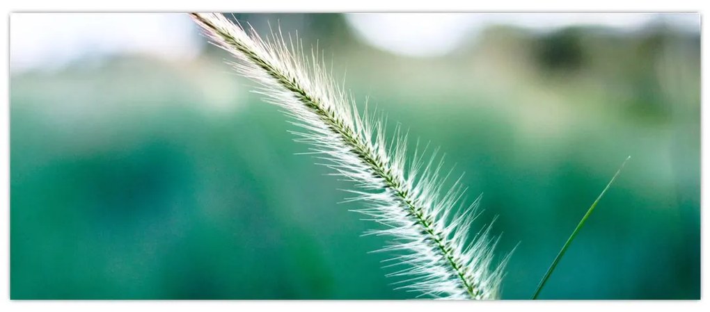 Tablou cu fir de iarbă (120x50 cm)