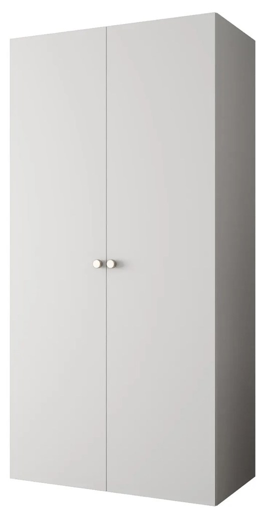 Dulap de haine 100 cm Parna 1 (alb + Argintiu). 1125858