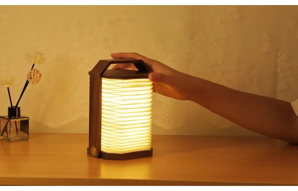 Decorațiune luminoasă albă/în culoare naturală închisă cu USB Origami – Gingko