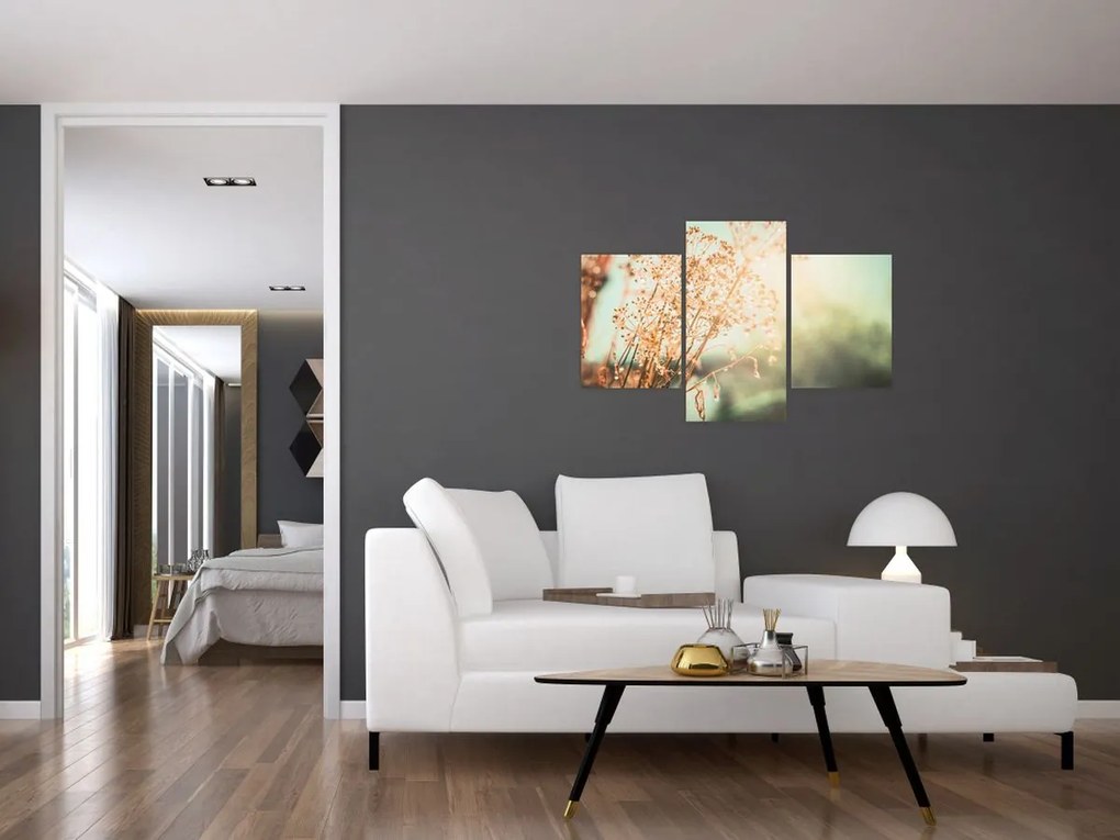Tablou - Plante după ploaie (90x60 cm)