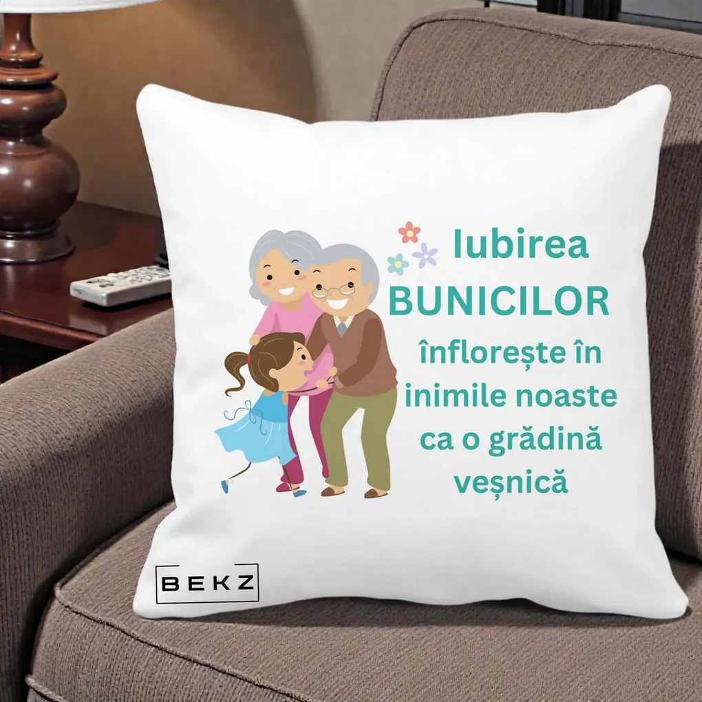Cadou pentru Bunici - Perna Personalizata Bunicii Iubirea Infloreste cu Nepoata Teal, 40x40 cm, Alba Mata, Husa Detasabila, Perna Inclusa, BEKZ®