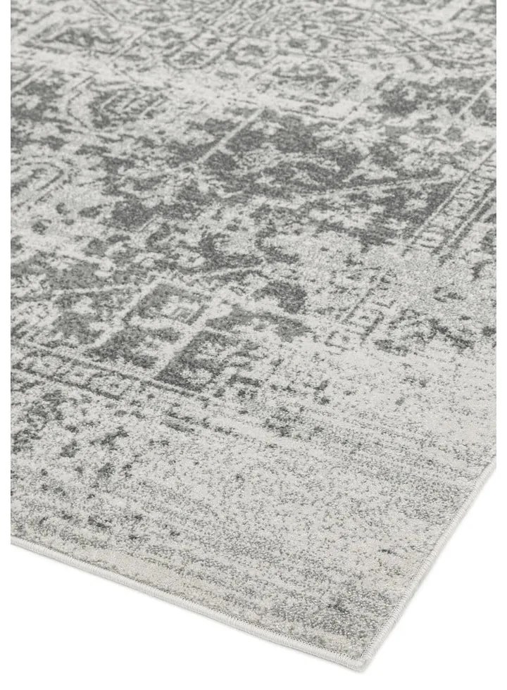 Covor gri 160x230 cm Nova – Asiatic Carpets