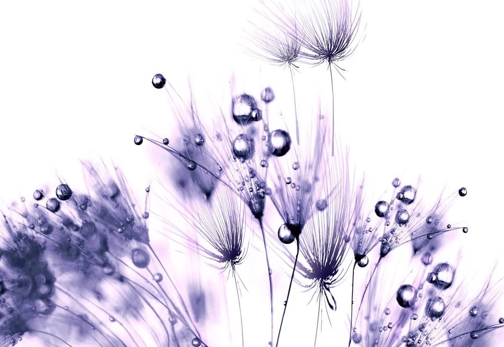 Fototapet - Flori (254x184 cm)