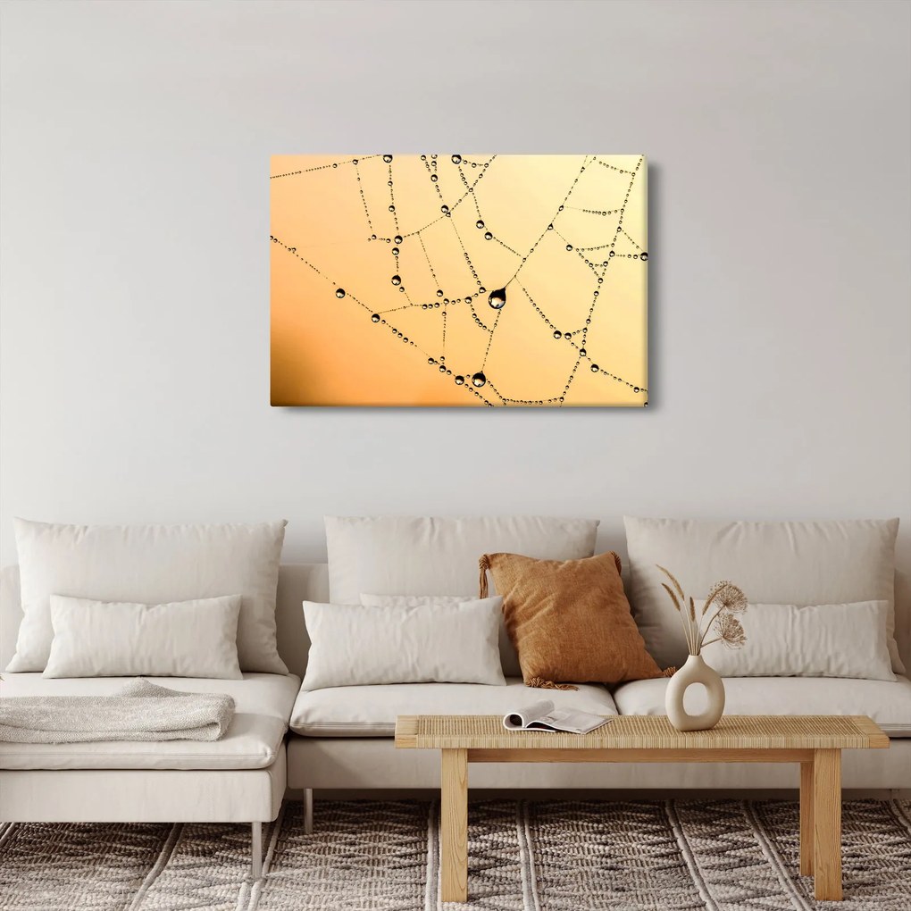 Tablou cu pânză de pâianjen cu rouă (90x60 cm)