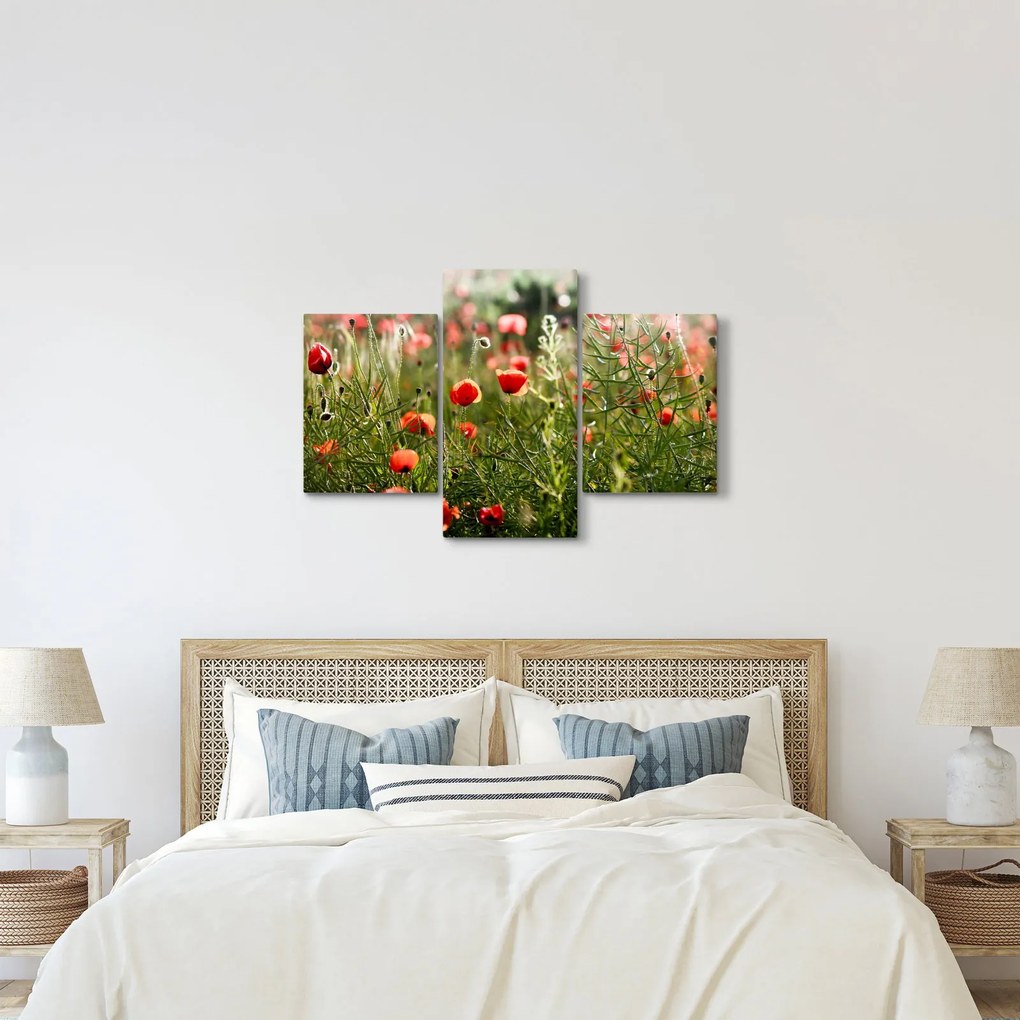 Tablou cu maci (90x60 cm)