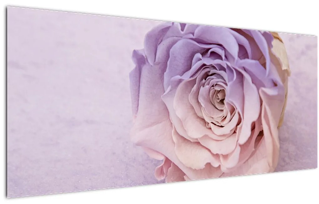 Tablou detaliu florii de trandafir (120x50 cm)