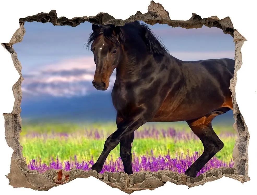 Autocolant gaură 3D Un cal într-un câmp de lavandă