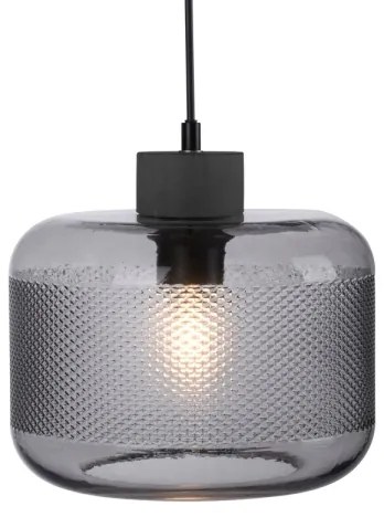 Lustră pe cablu Paul Neuhaus 2005-25 BOLETUS 1xE27/10W/230V d. 23,5 cm gri