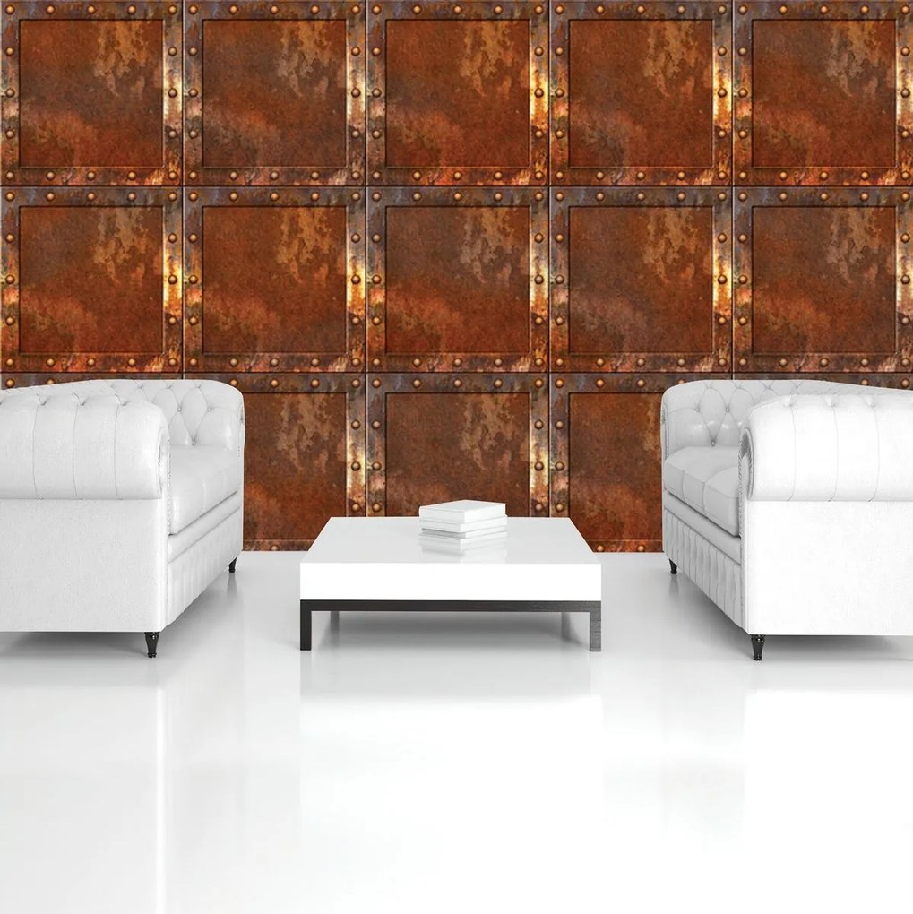 Fototapet - Rujină (152,5x104 cm)
