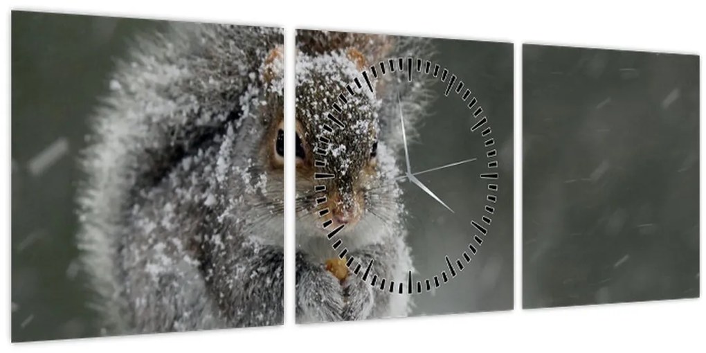 Tablou - Veveriță iarna (cu ceas) (90x30 cm)