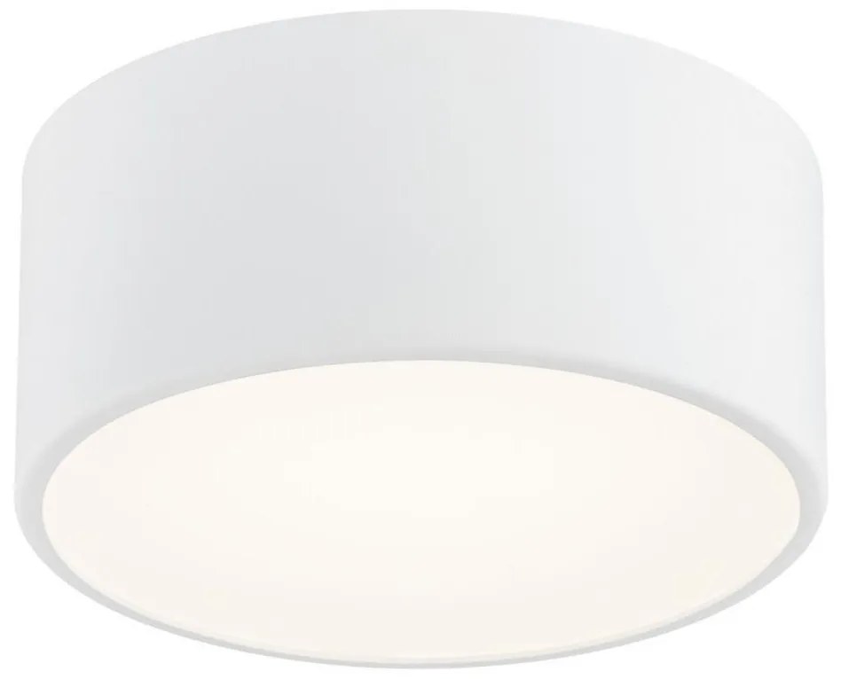 Plafonieră LED VICHY LED/13,5W/230V albă Argon 3885