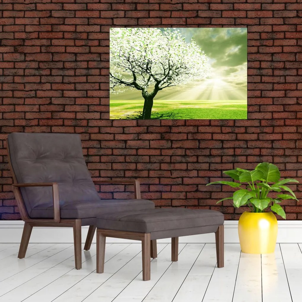 Tablou cu copaci pe luncă (90x60 cm)