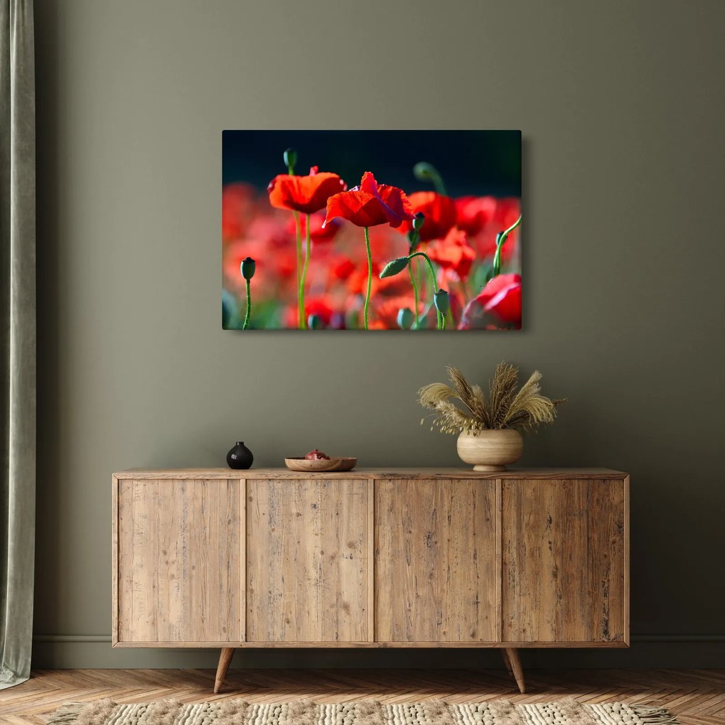 Tablou - flori de maci (90x60 cm)