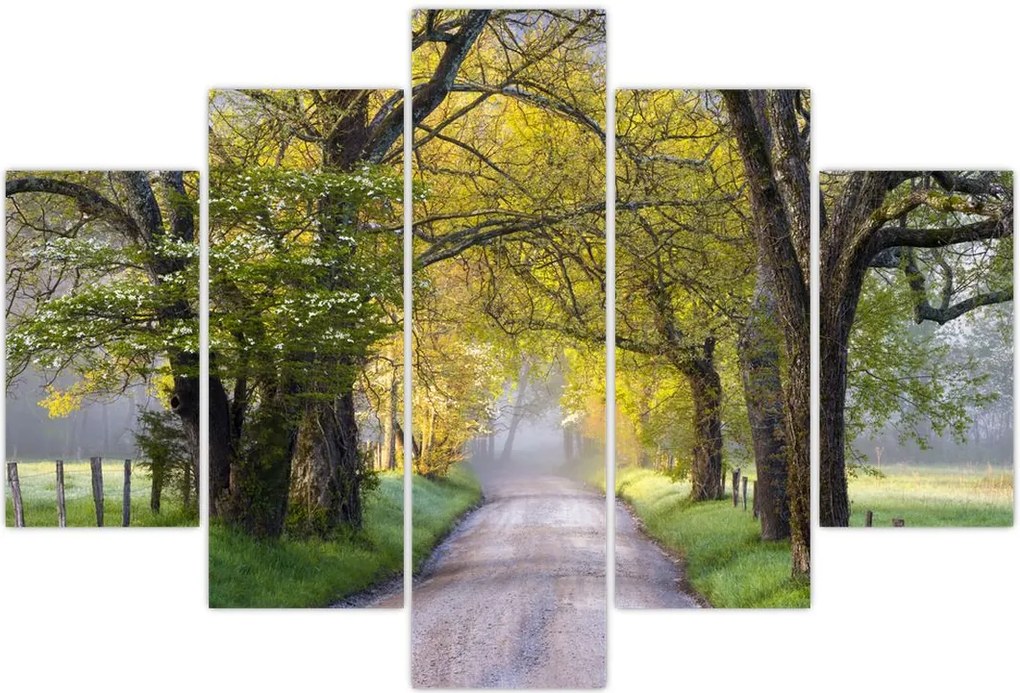 Tablou - Smoky Mountains, Gatlinburg, SUA (150x105 cm)