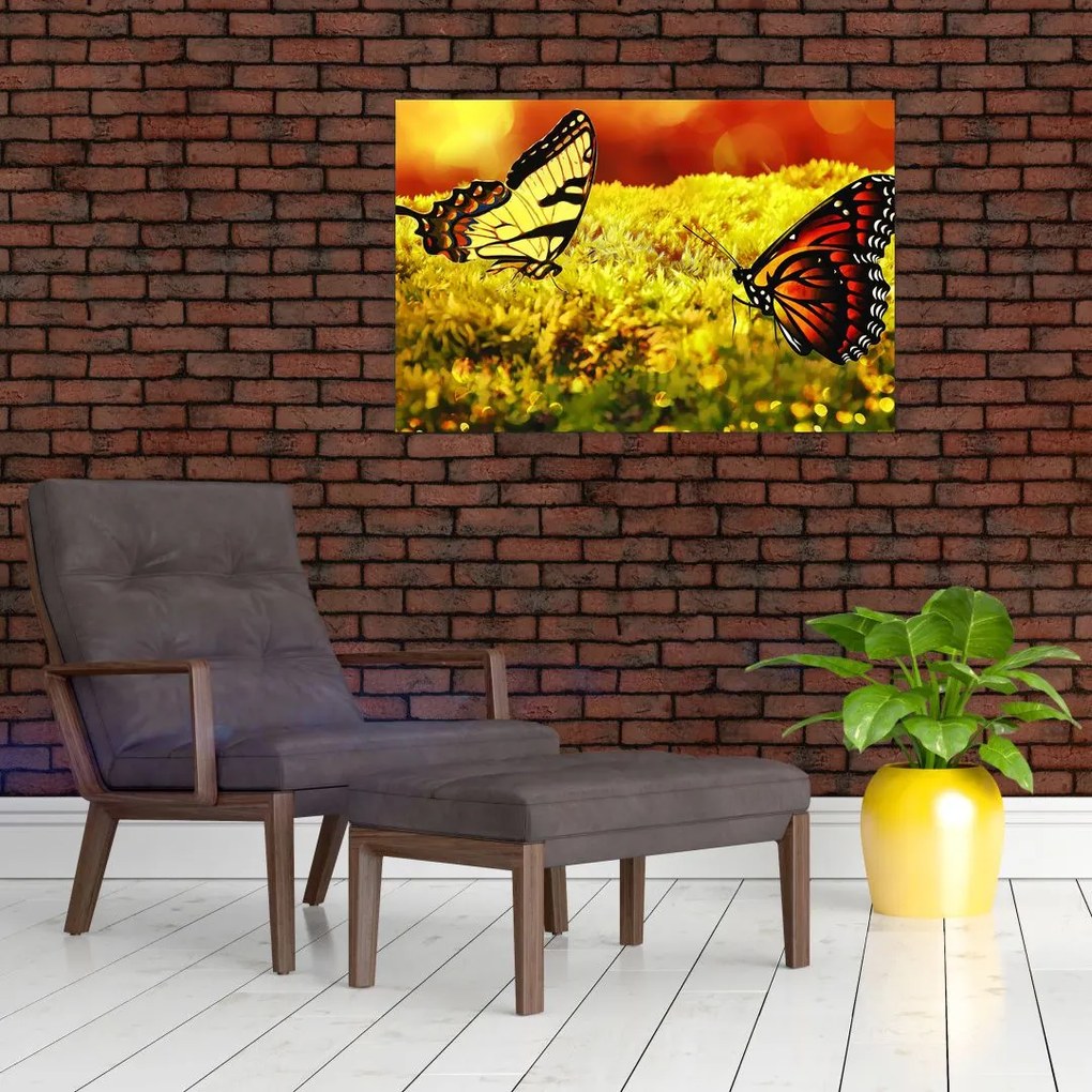 Tablou cu fluturi (90x60 cm)