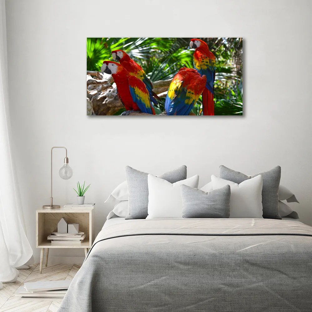 Tablouri tipărite pe pânză Papagali macaws