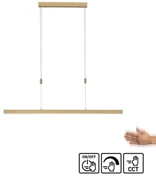 Lustră LED dimabilă pe cablu Paul Neuhaus 2568-60 ADRIANA LED/14W/230V alămie