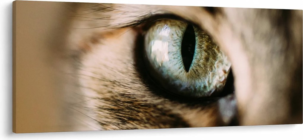 Tablou - Ochi de pisică (120x50 cm)