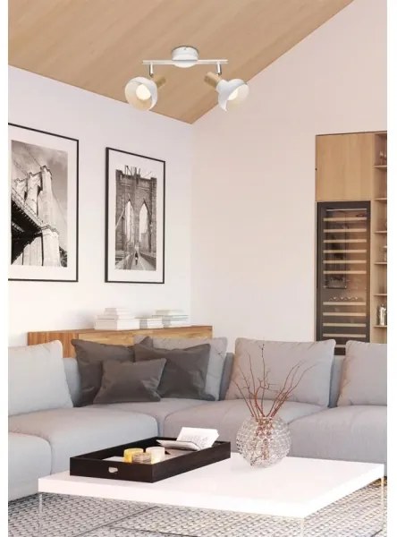 Lampă spot PUERTO 2xE14/40W/230V