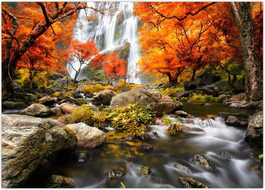 Tablou - Cascade în pădurea portocalie (70x50 cm)