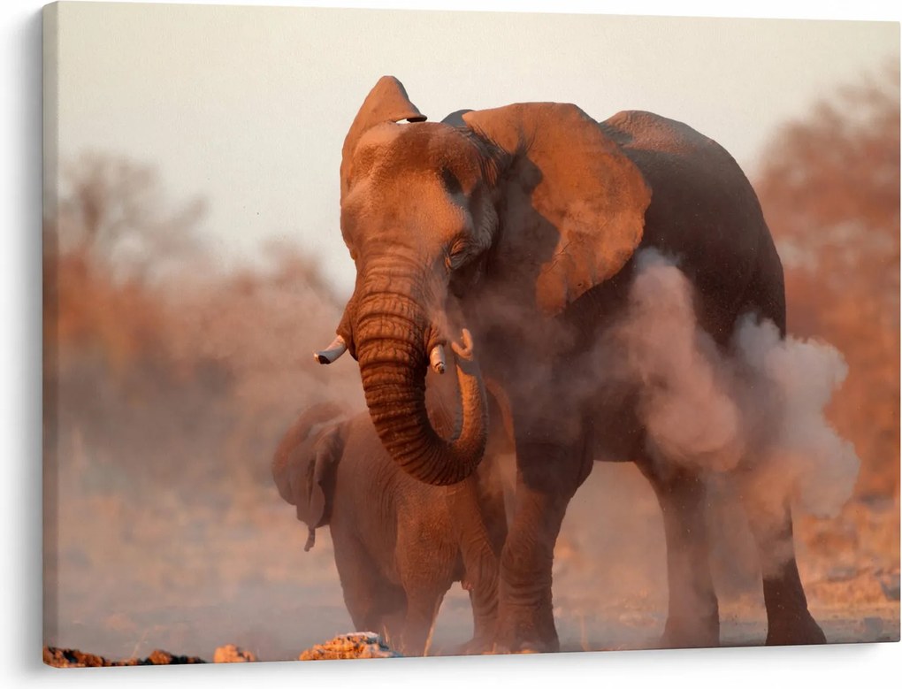 Tablou - Marele elefant african (70x50 cm)