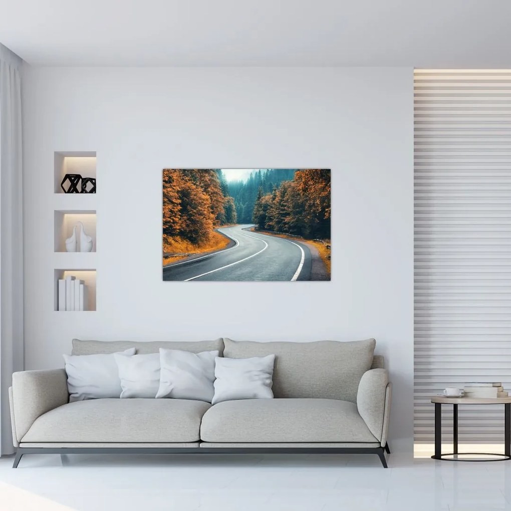 Tablou - Drumul cu serpentine (90x60 cm)