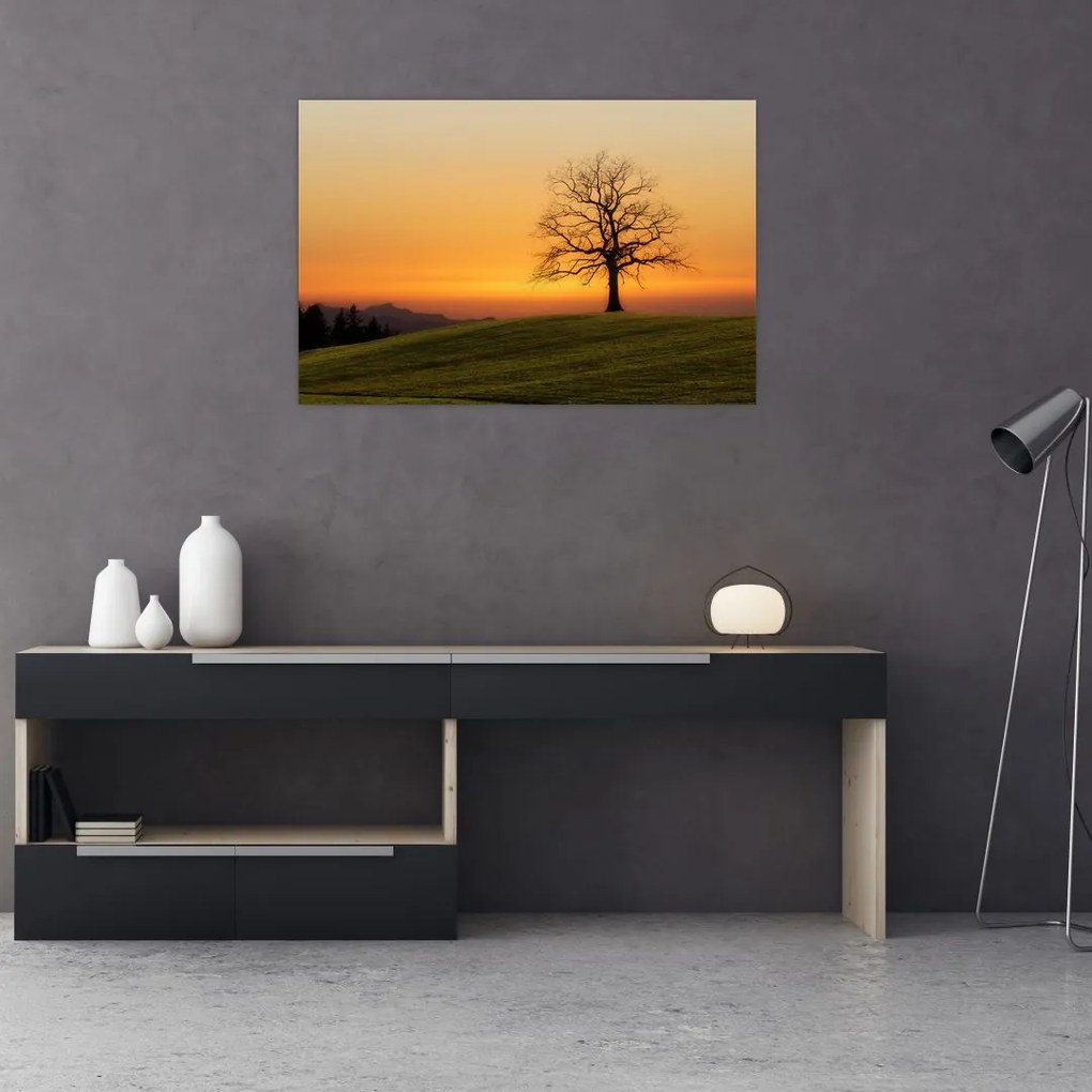 Tablou cu apus de soare pe o luncă (90x60 cm)
