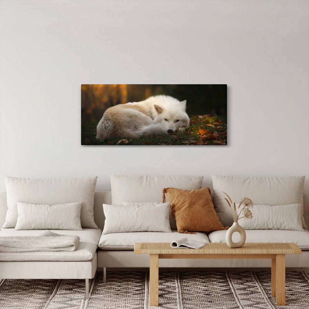 Tablou - Lupul care se odihnește (120x50 cm)