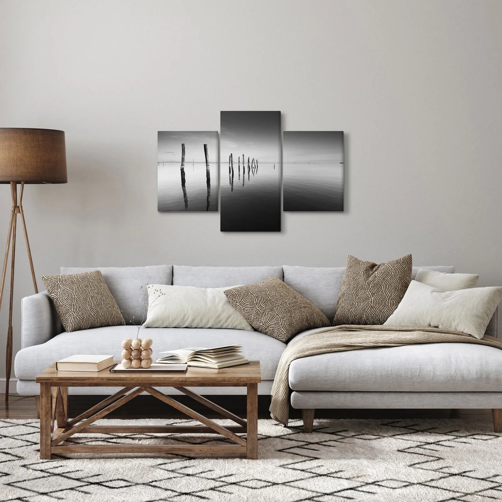 Tablou cu nivelul de lac alb negru (90x60 cm)