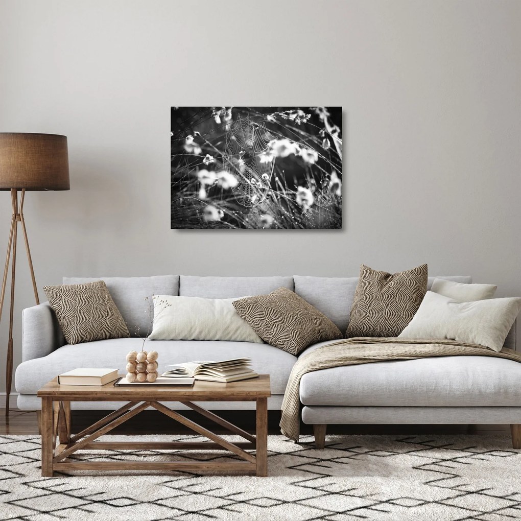 Tablou pe sticlă - Pânza de păianjen în pajiște (70x50 cm)