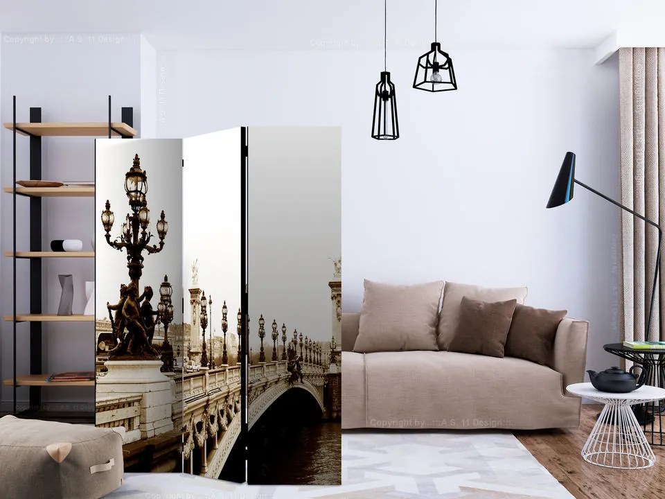 Paravan - Alexander III Bridge, Paris [Room Dividers]