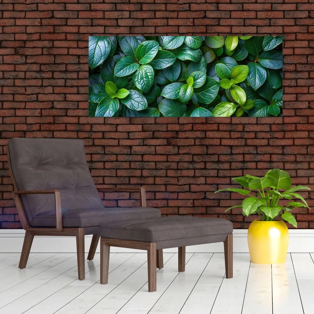 Tablou - Plante verzi (120x50 cm)