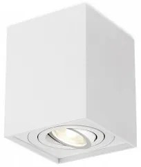 Spot aplicat/plafoniera GU10 BH04-00310 Braytron